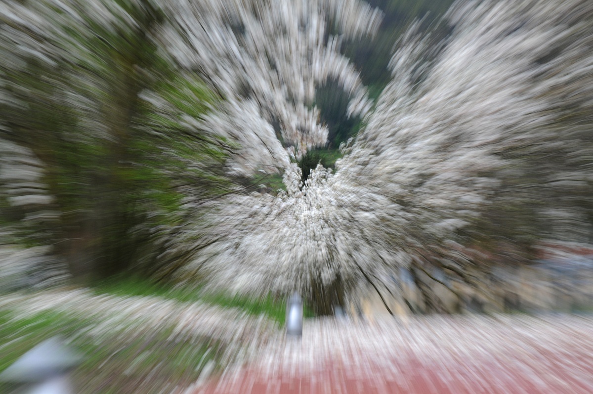 effetto zoom