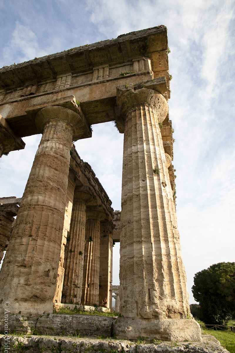 Poseidon's temple in Paestum