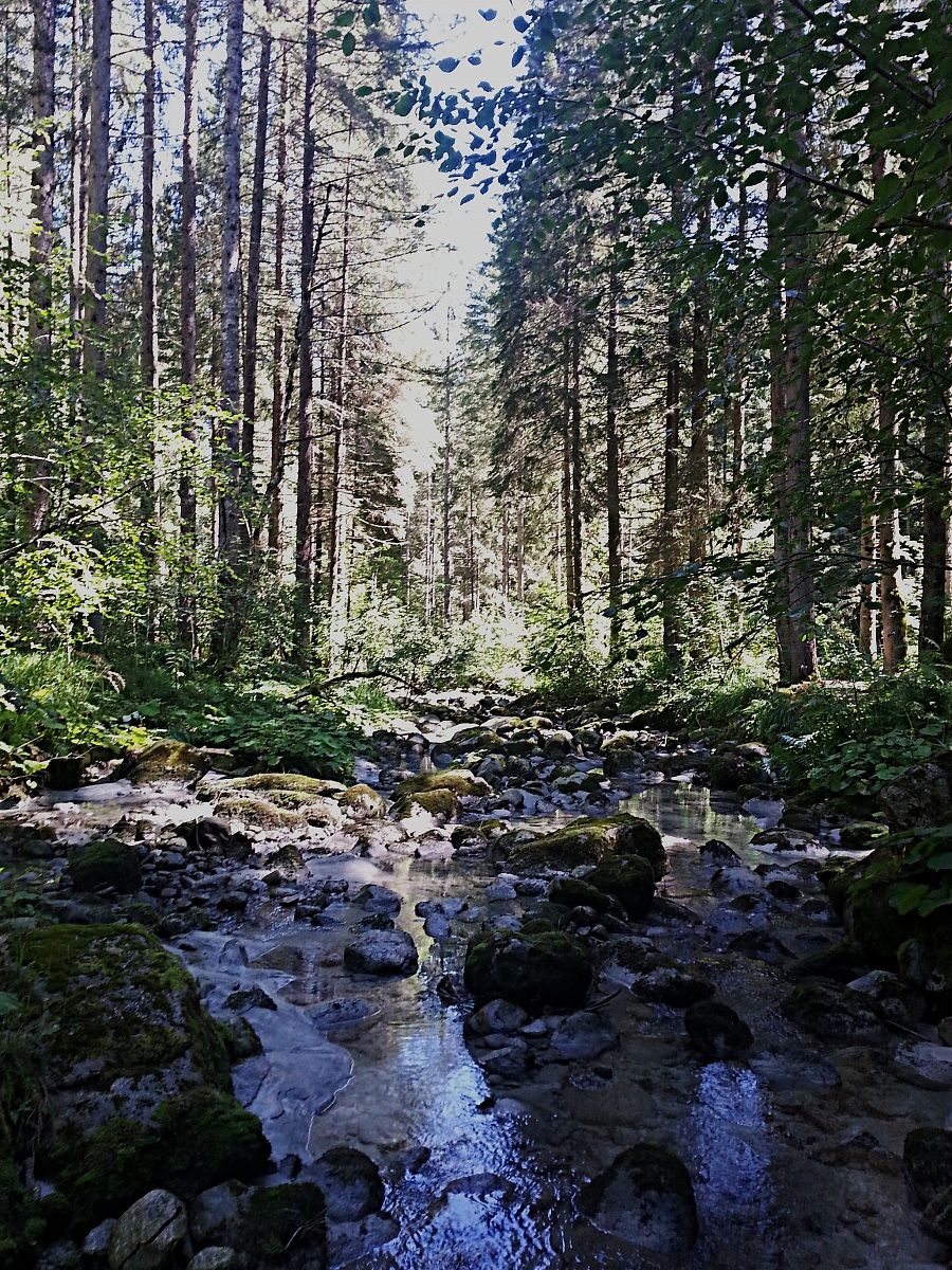 The landscapes of Asiago ..