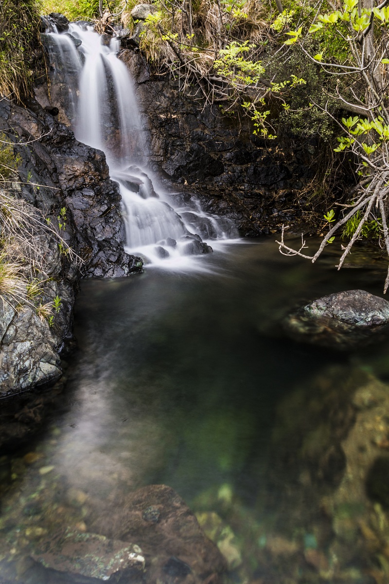 Stream on the Heights of Arenzano (ge)