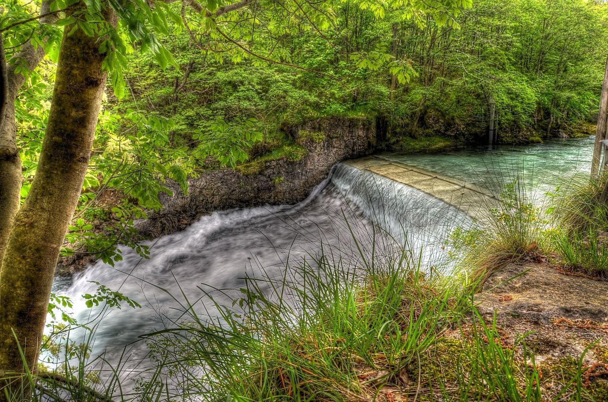 The elegance of the water