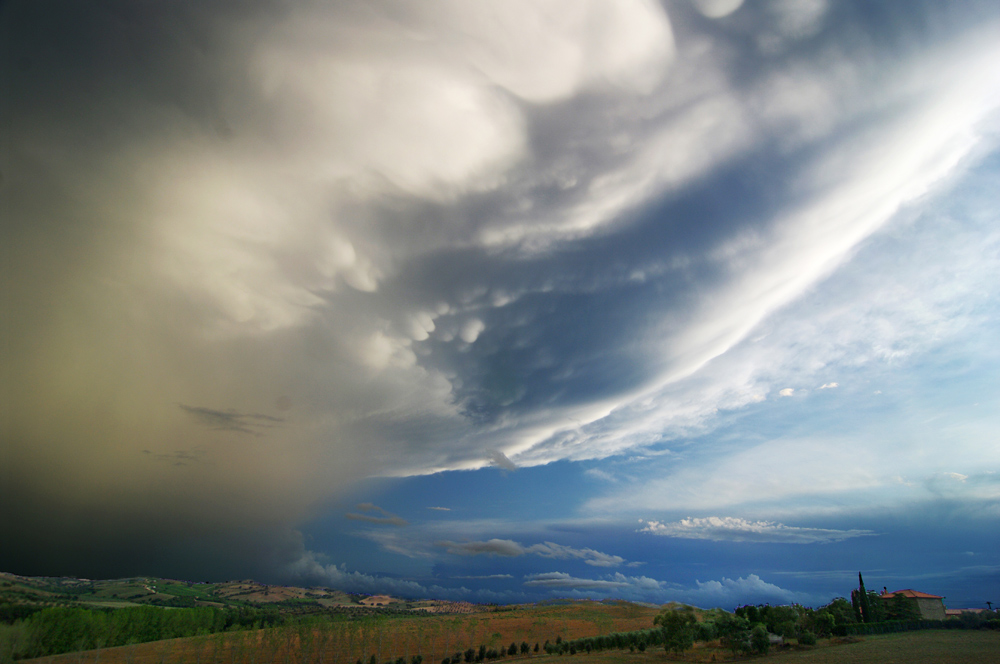 bizzarie della natura