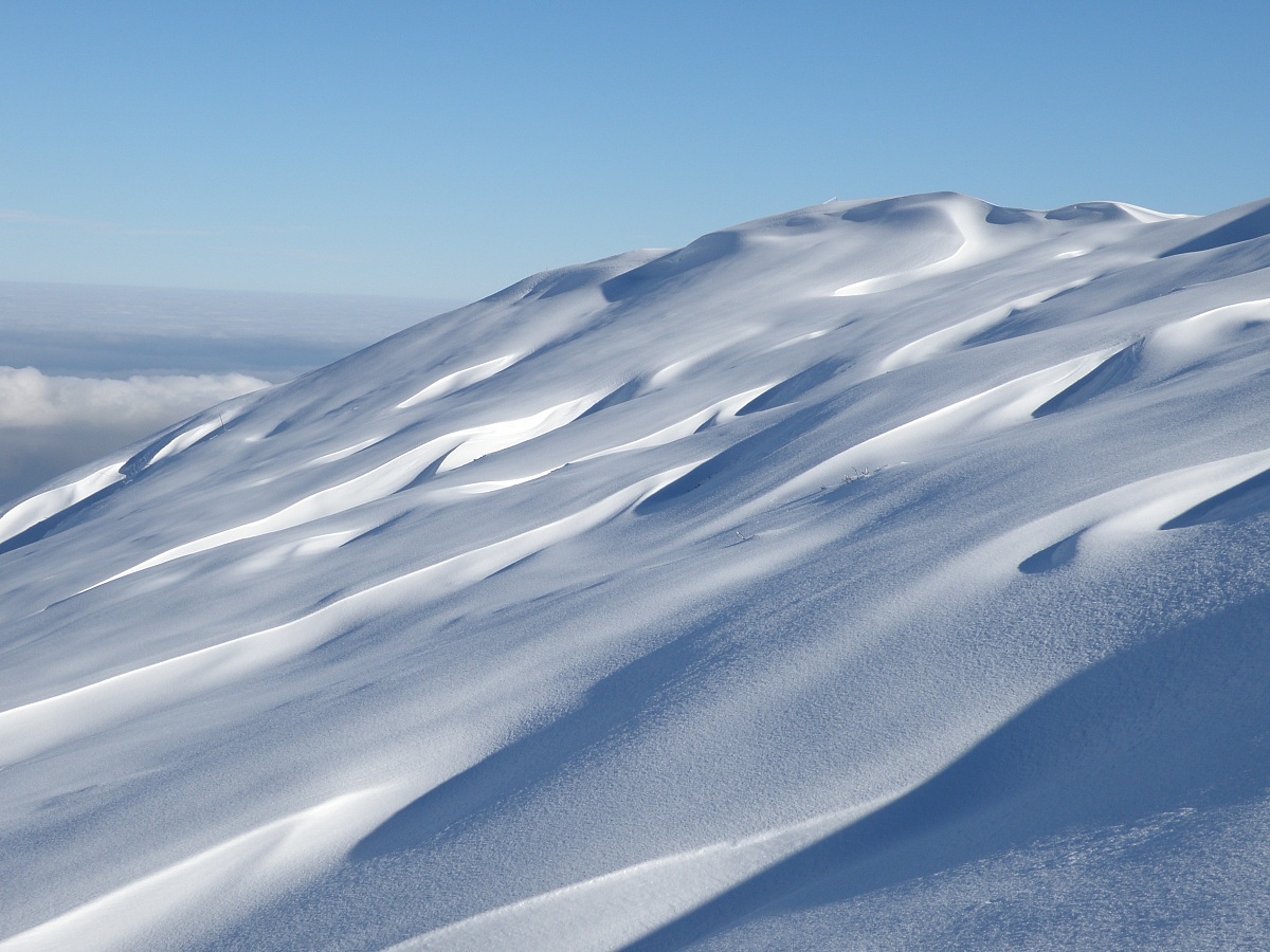 riporto da vento Monregalese