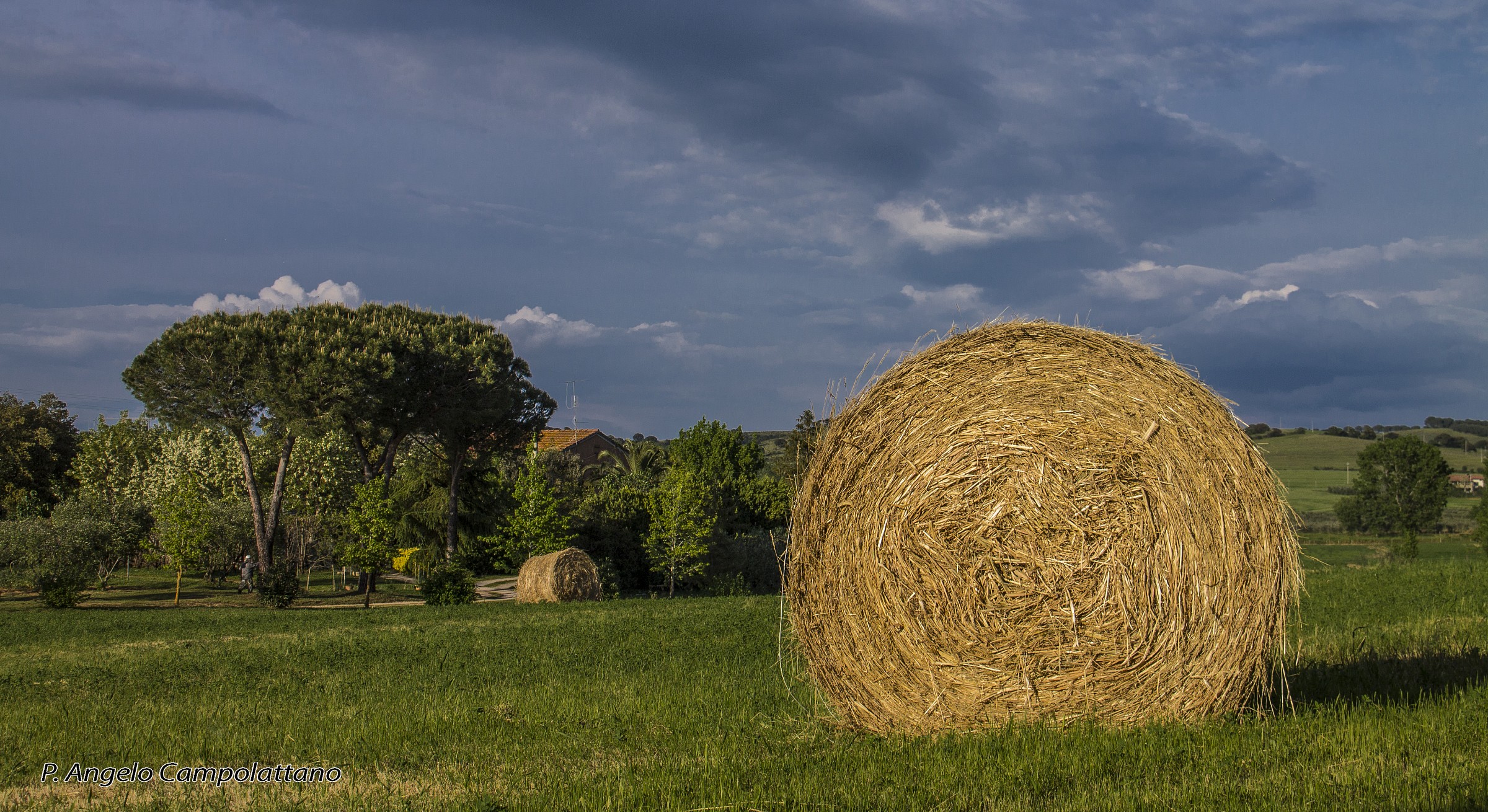 Hay Harvest ...
