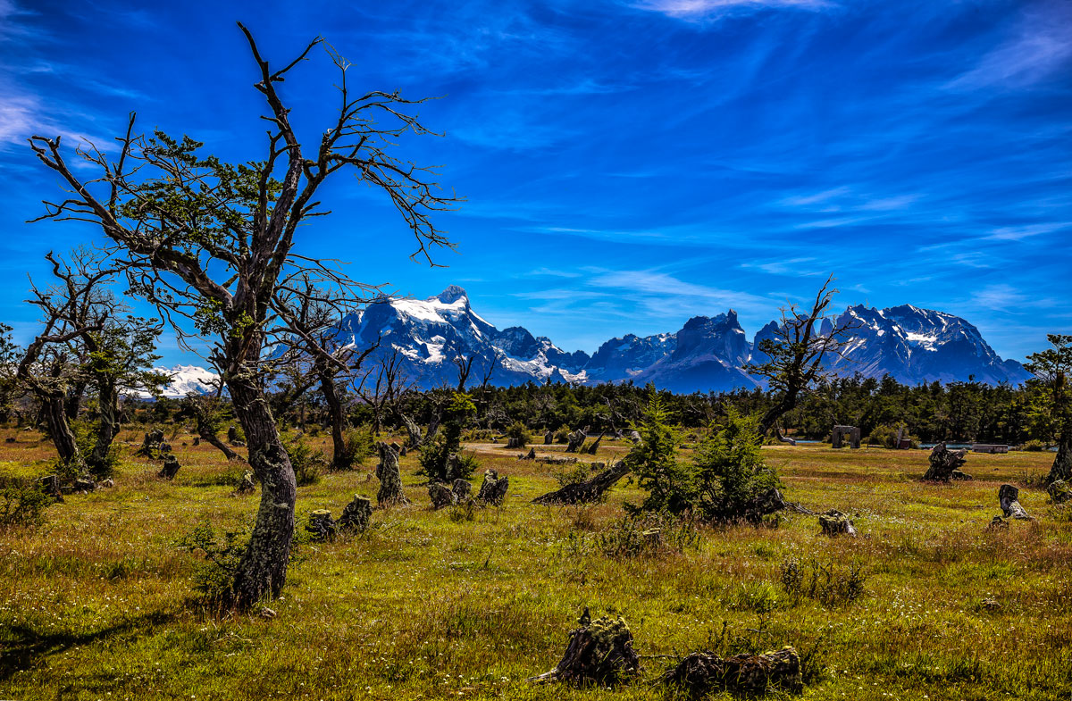 Cile.Torres del Paine