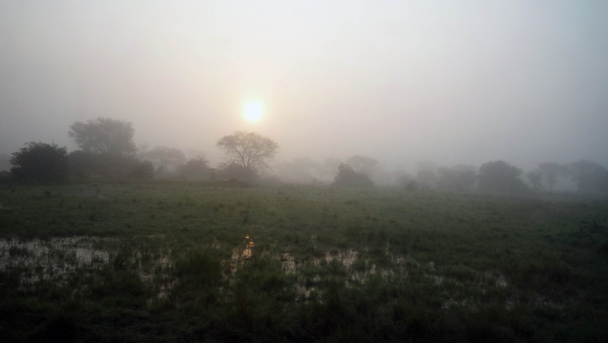 Sunrise on the Marsh
