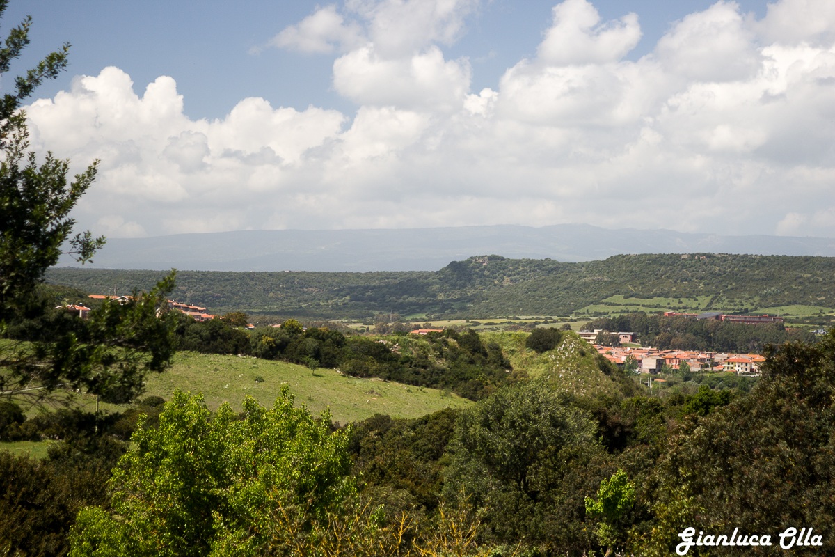 landscape in Fordingbridge