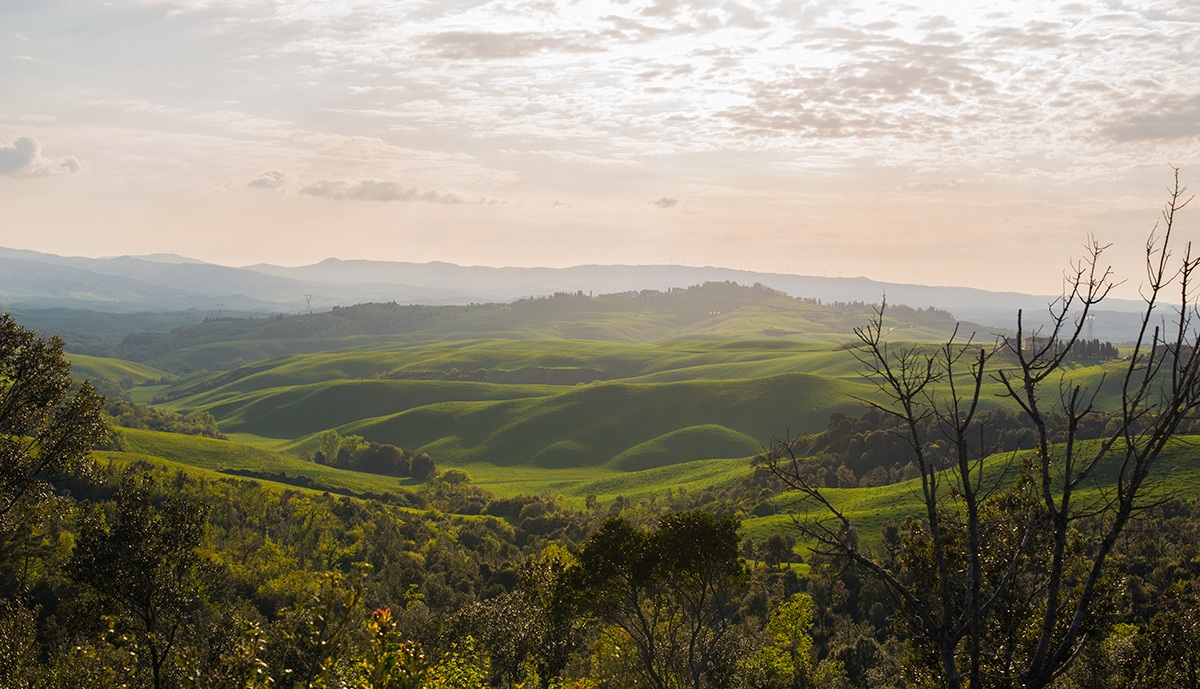 View from the white stones