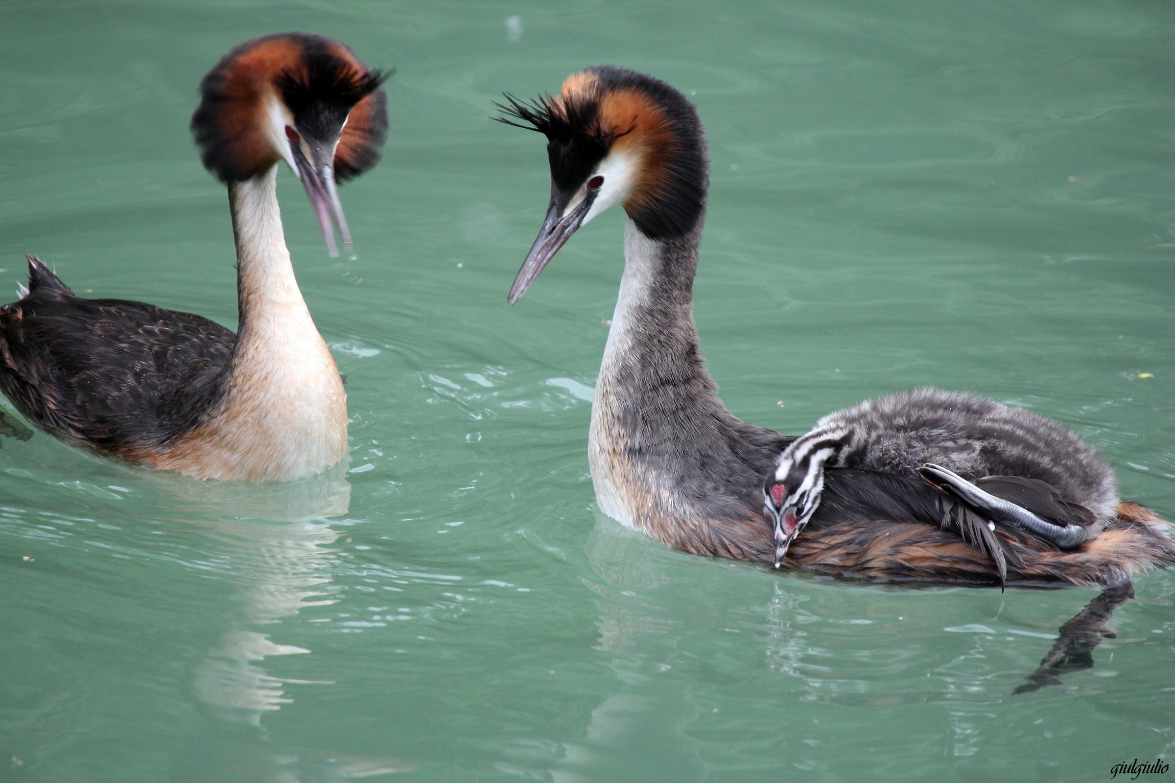 guardiamoci negli occhi