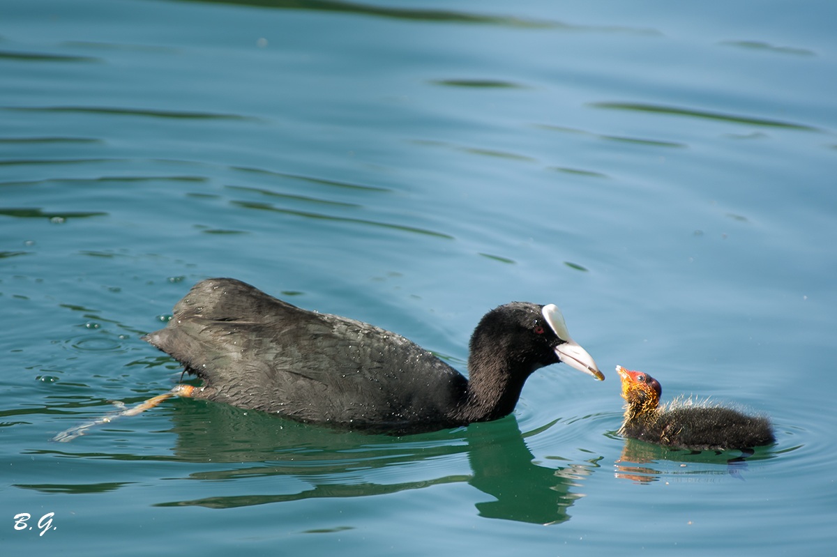 Here comes the breakfast ..