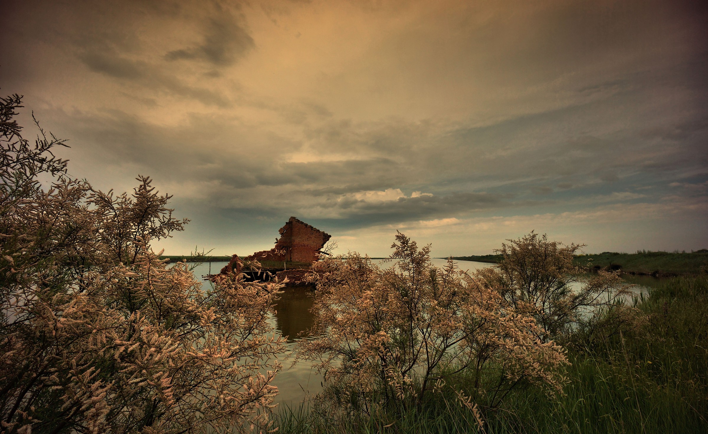 Look among the tamarisk
