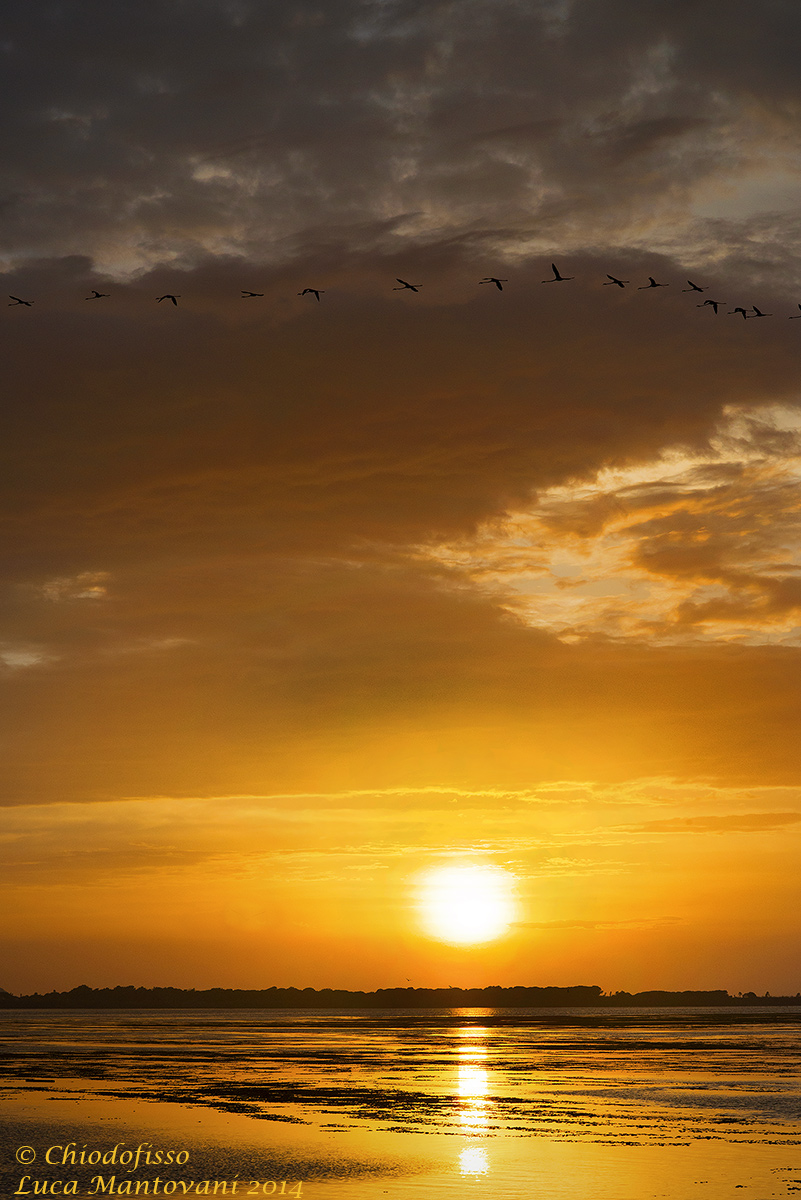 Tramonto con fenicotteri