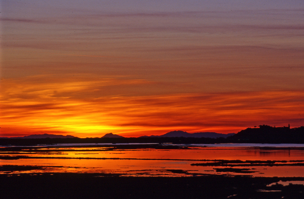 palude e sullo sfondo Castiglione Pescaia
