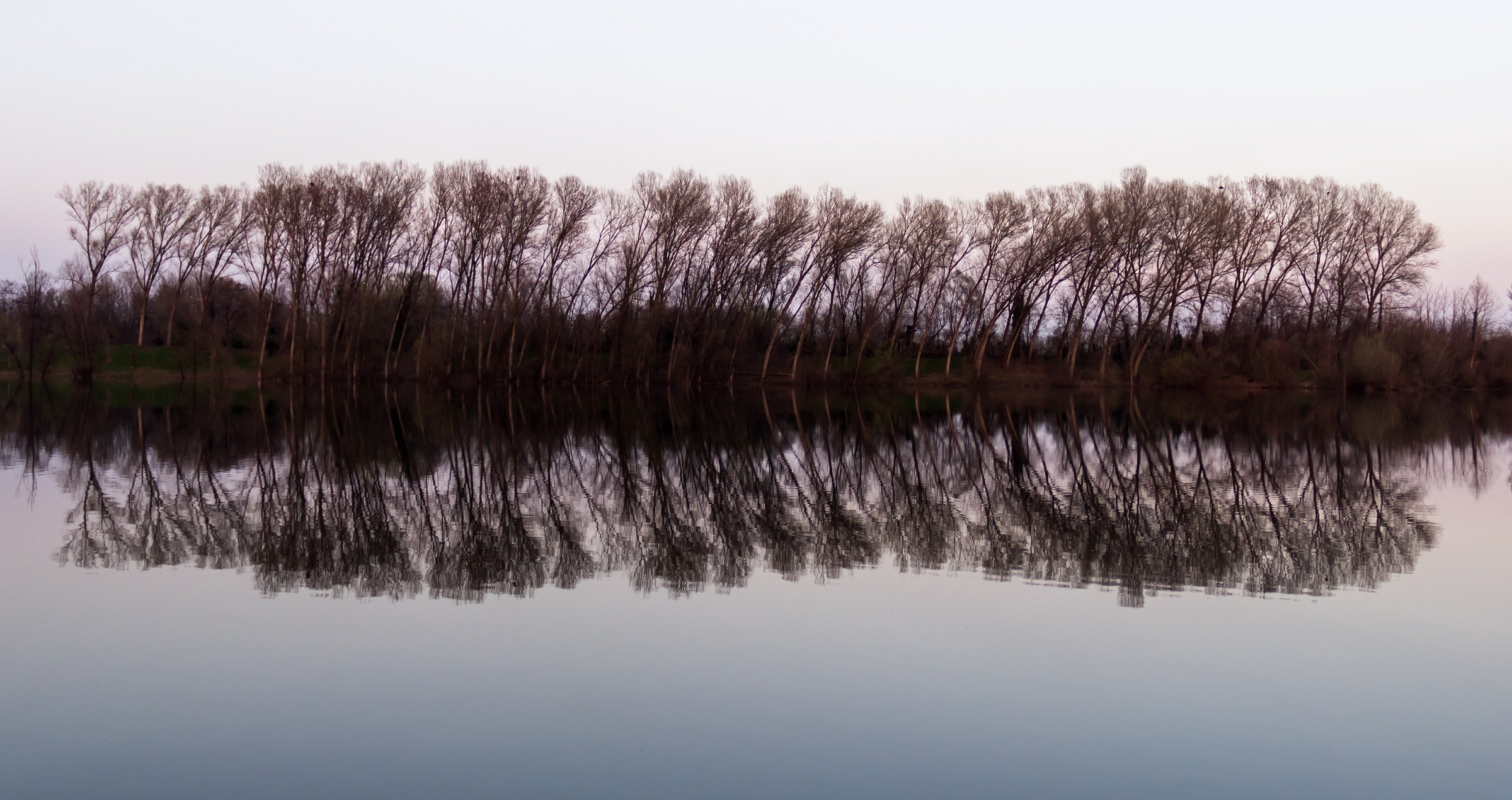 Last lights on the banks of the river