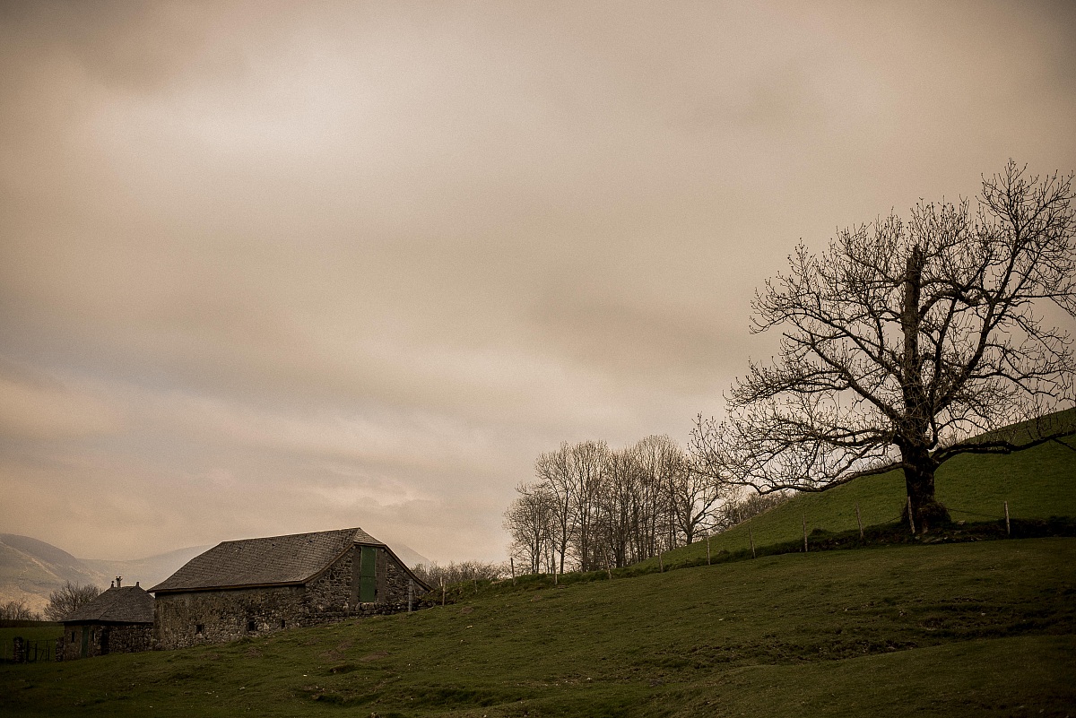 The hut and the old witness, vers. 1