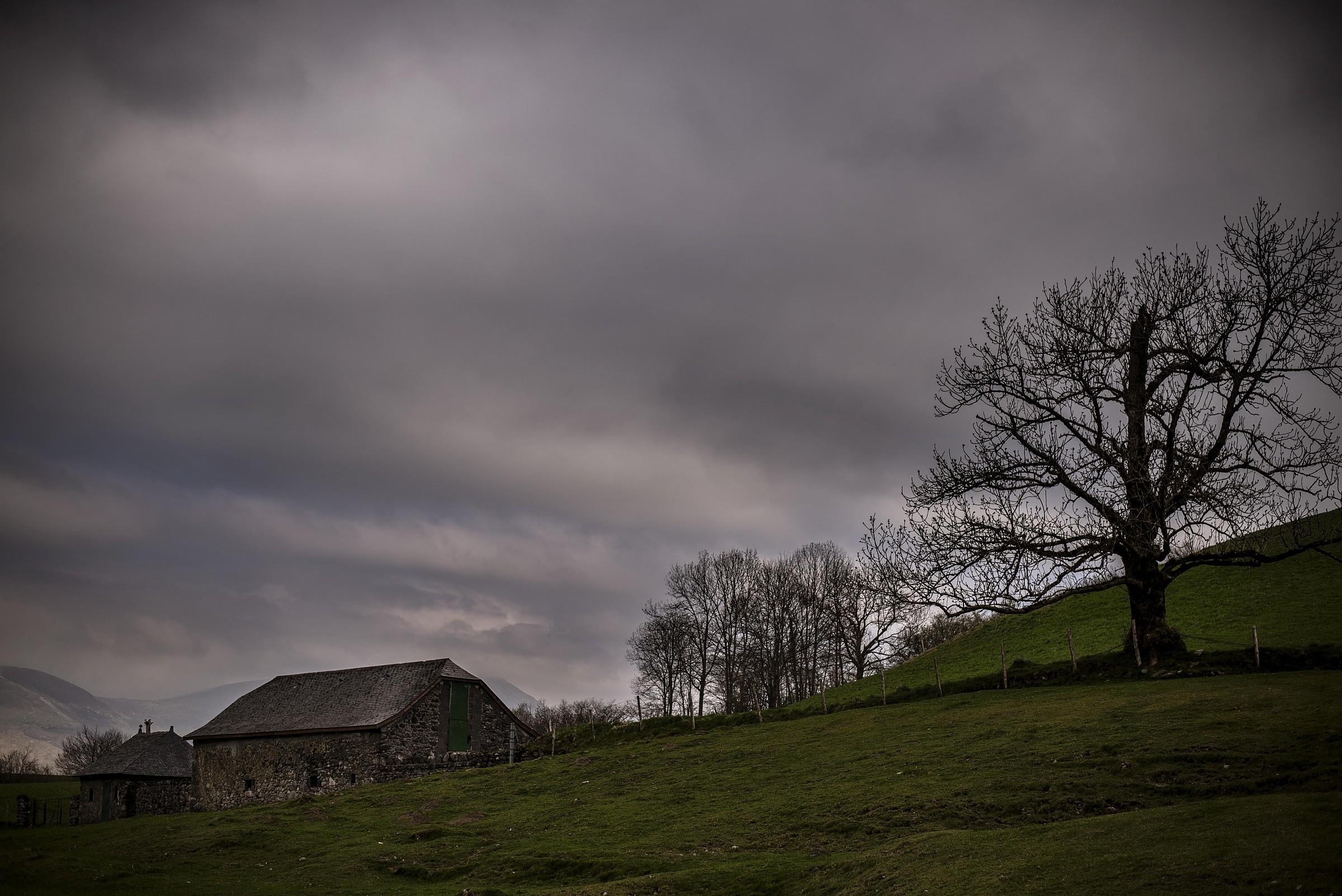 The hut and the old witness, vers. 2