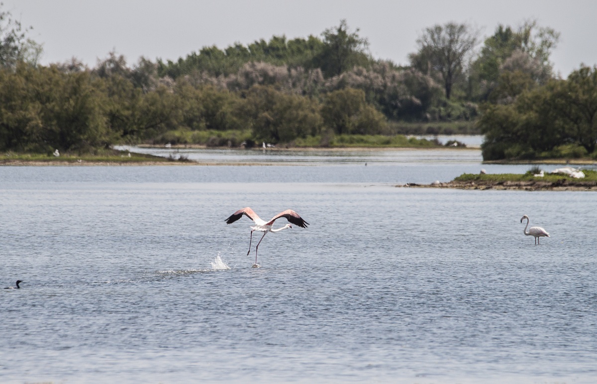 Decollo in rosa - Parte seconda