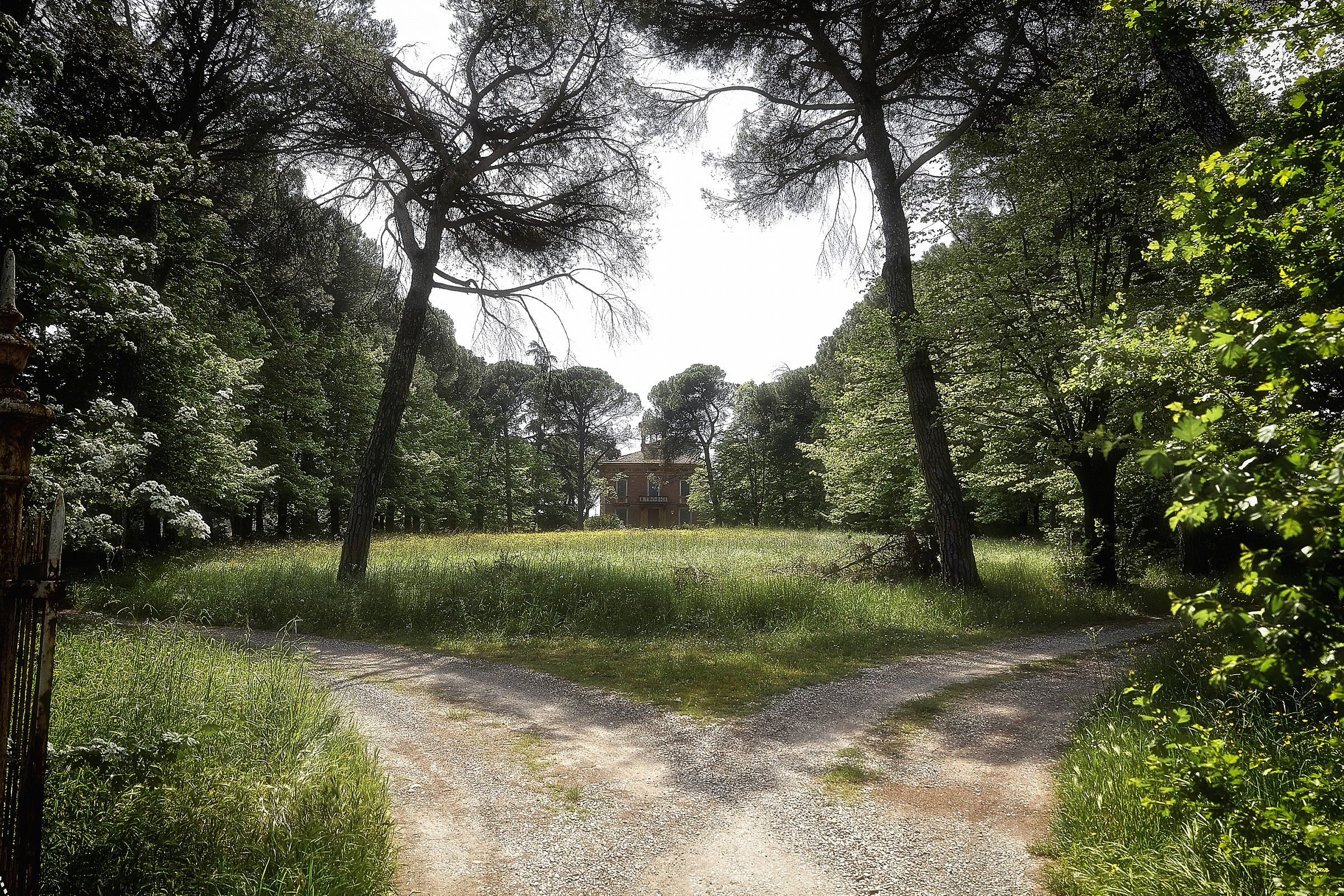 Scegli la tua direzione....