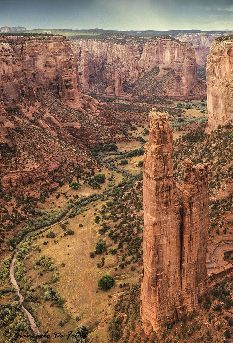 By scanning the slide. Unfortunately I do not have