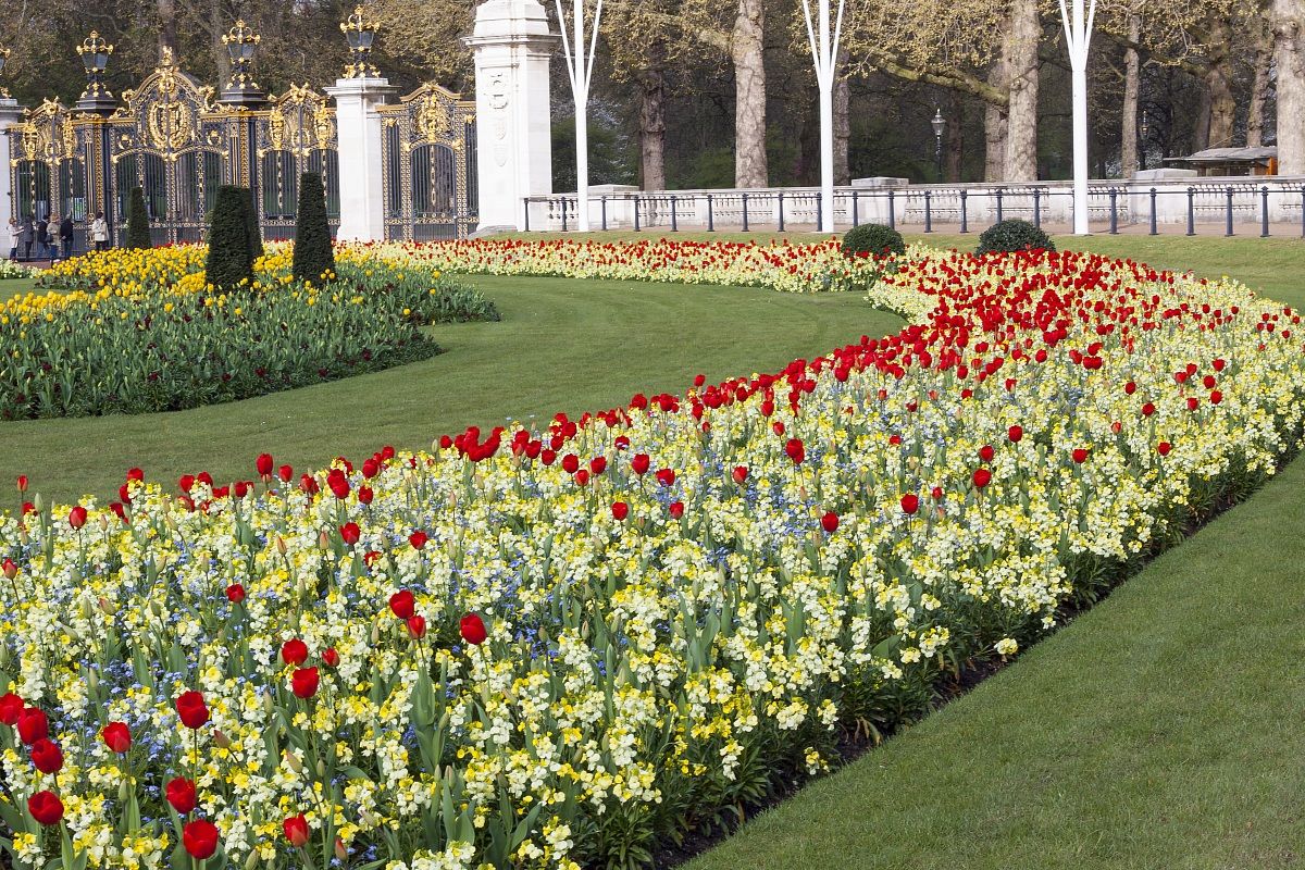 The flowers of the Queen!