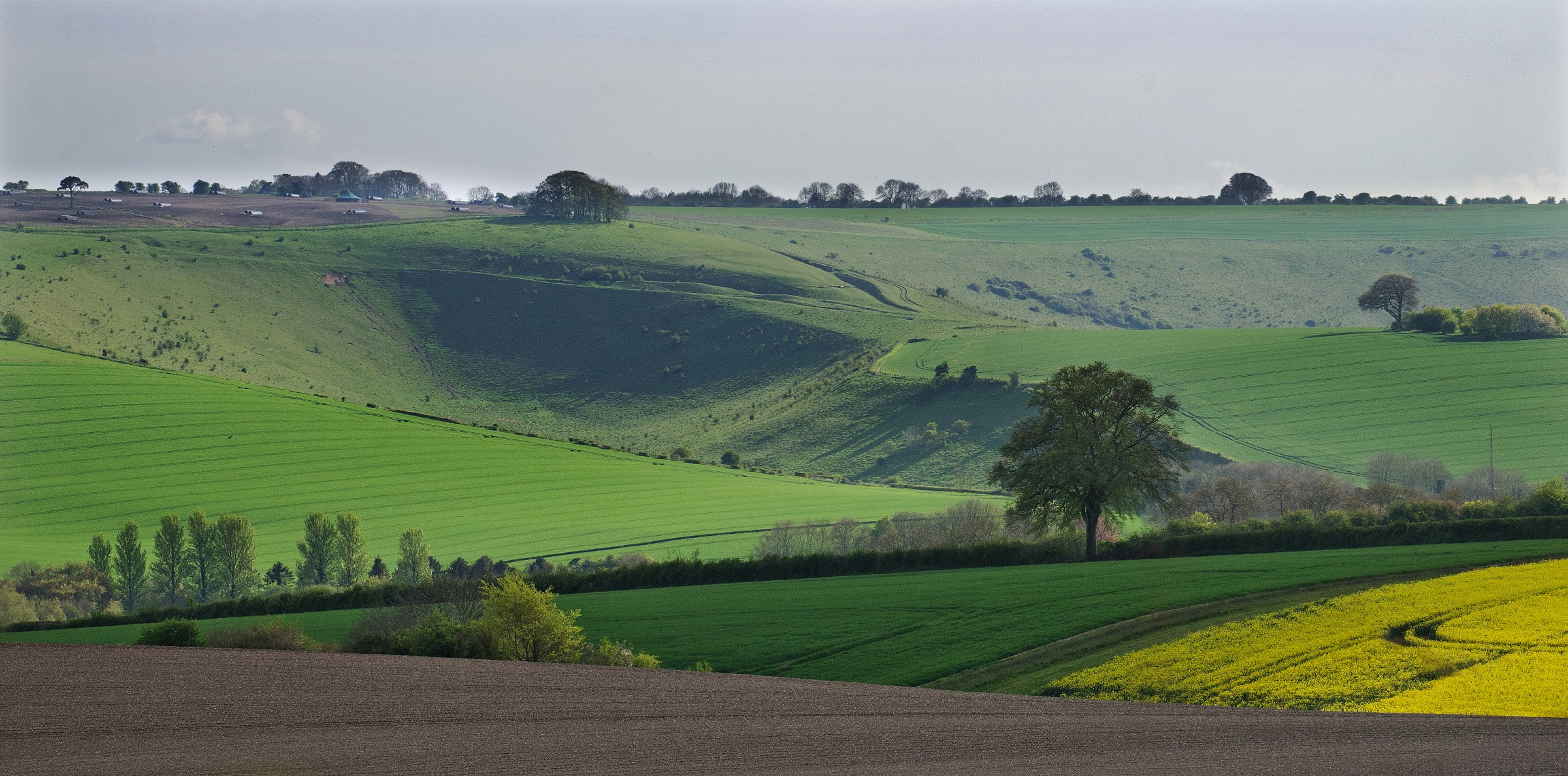 An English Spring Landscape