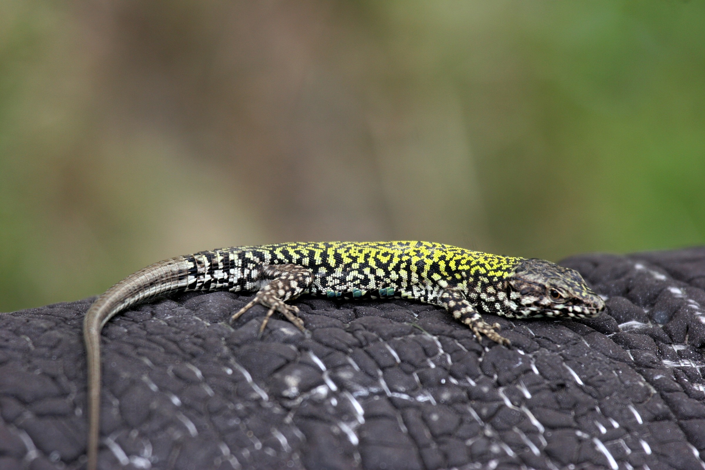 Ma che calduccino...