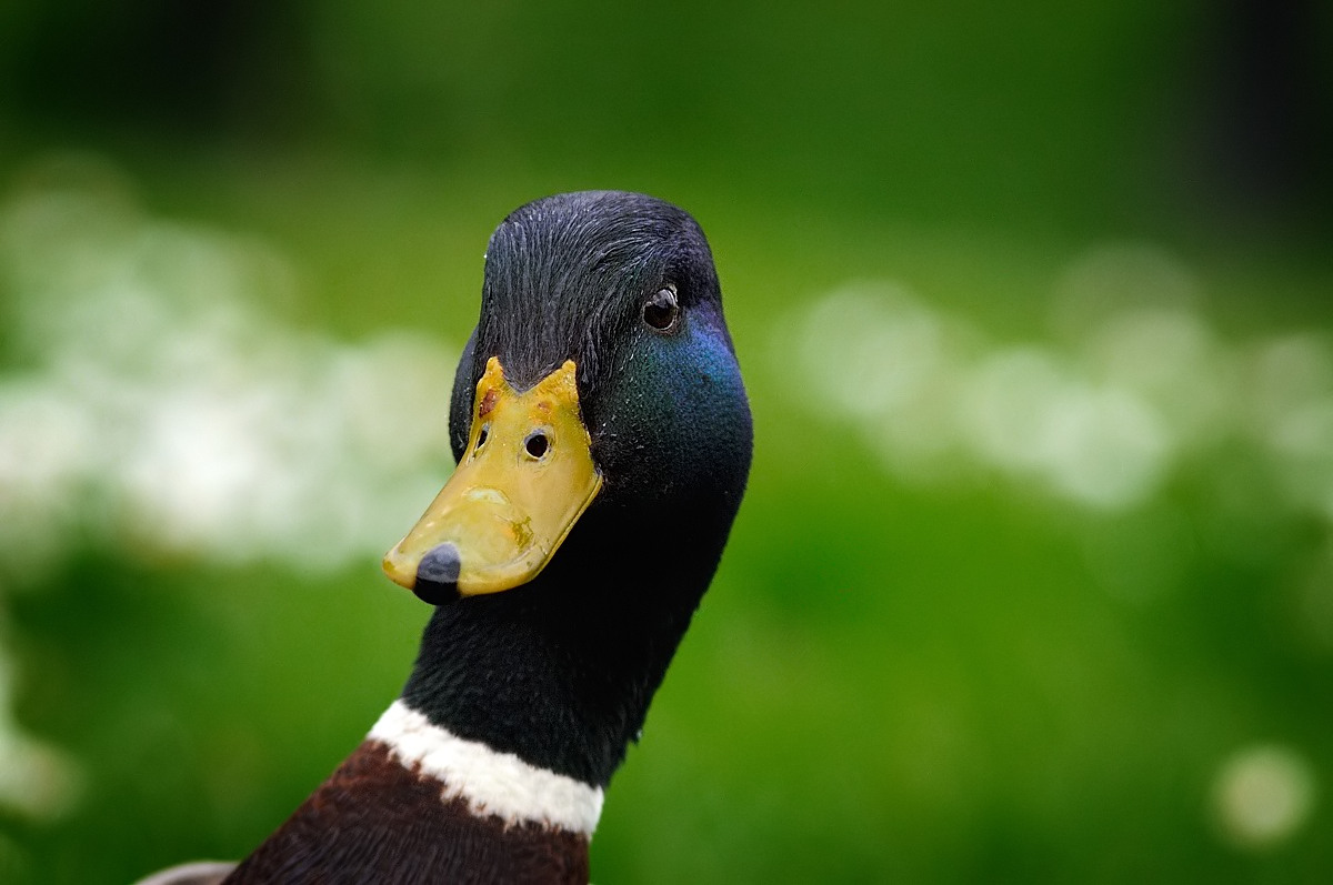 Are u talking to me?