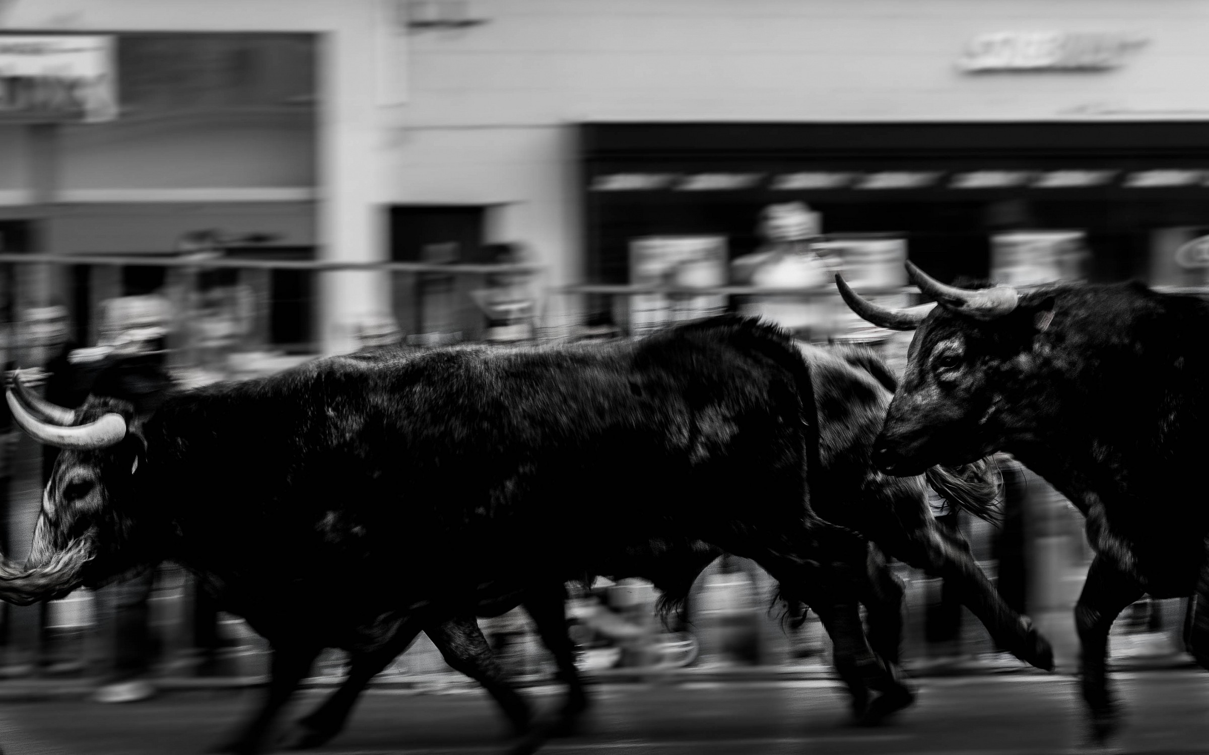 Running of the Bulls