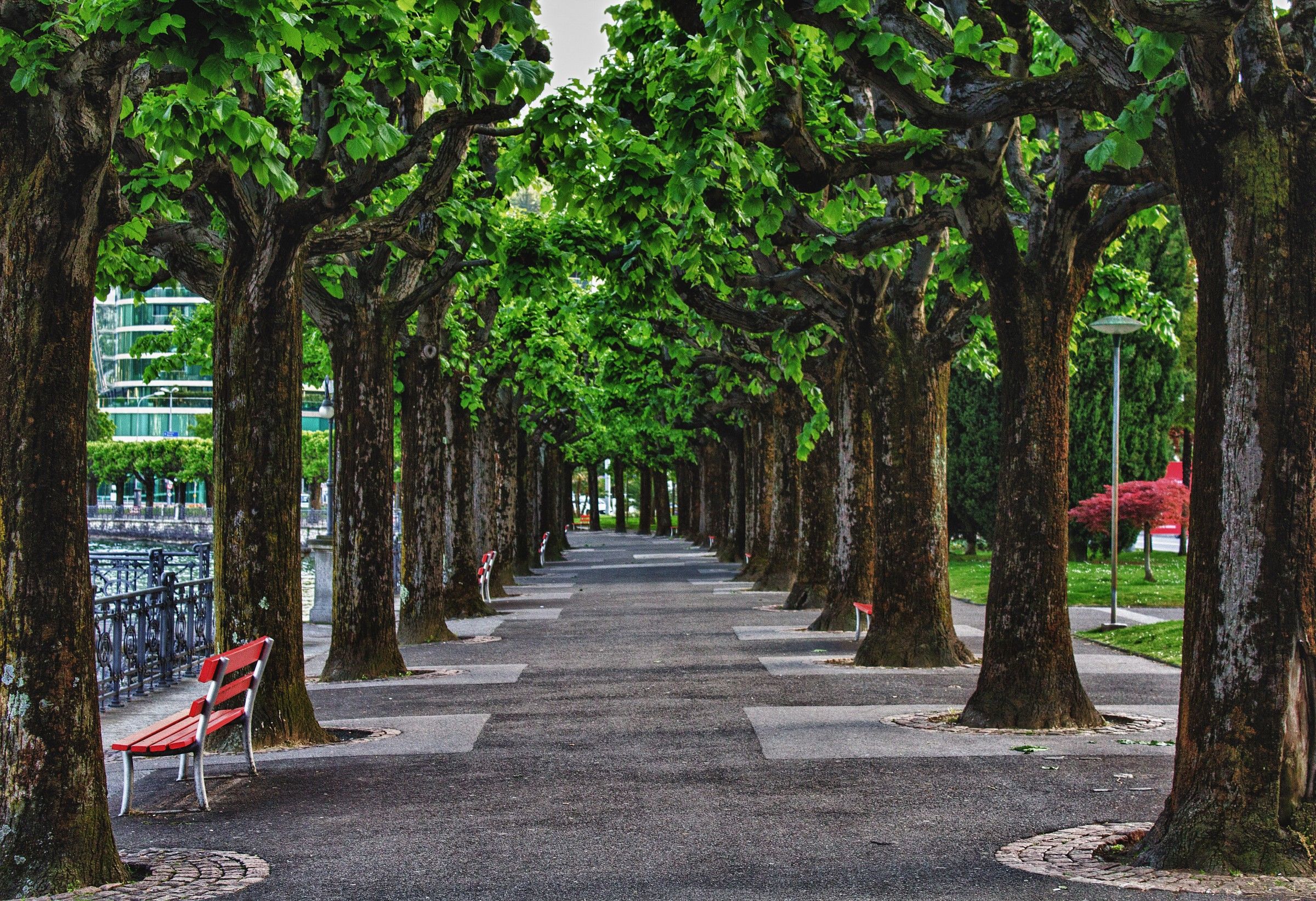 Along the lake of Lugano