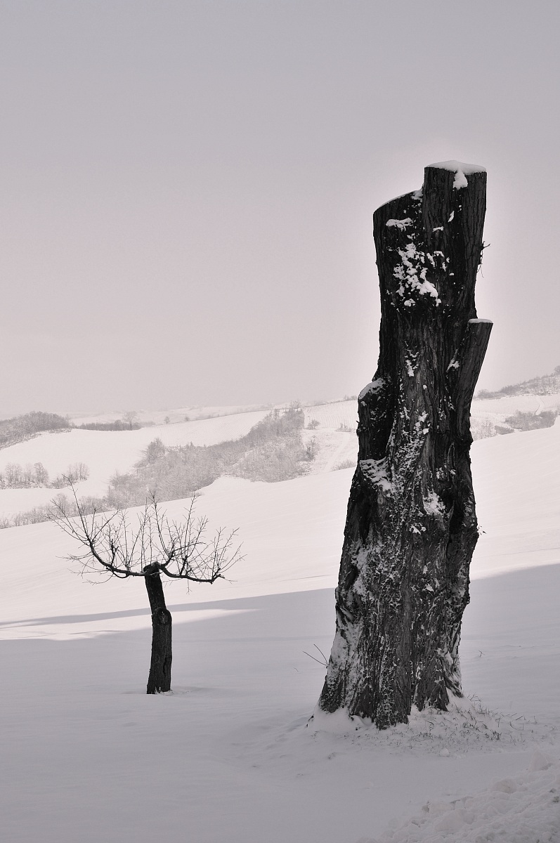 l'antenato e il giovane