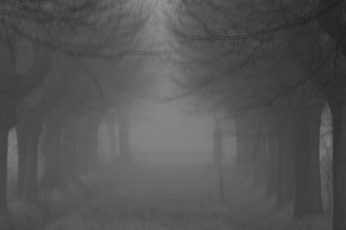 Disperso nela nebbia