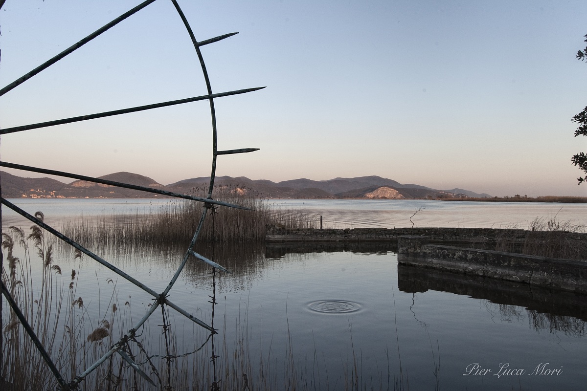 Torre del Lago Puccini