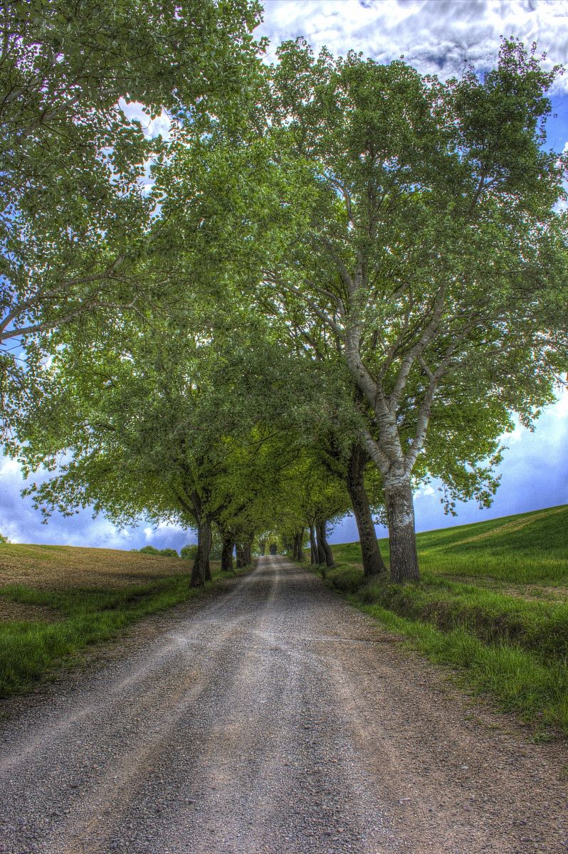 Il sentiero di Brunello