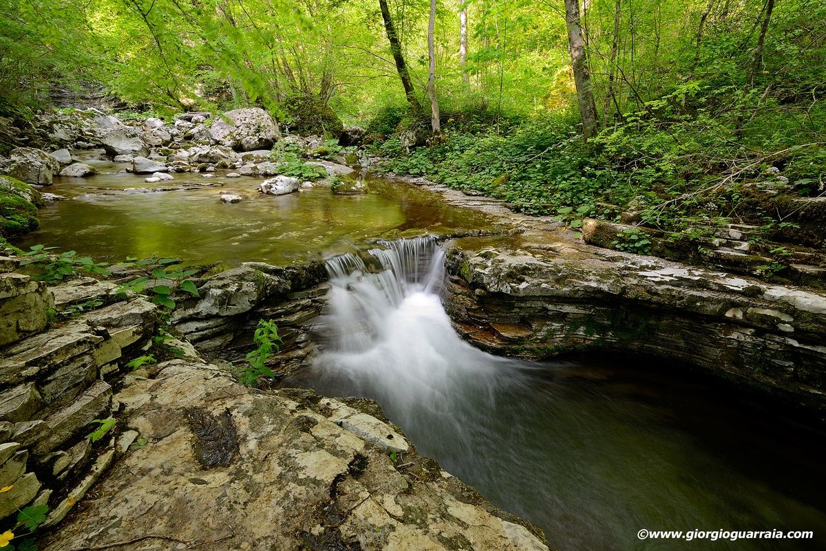 Kozjak stream