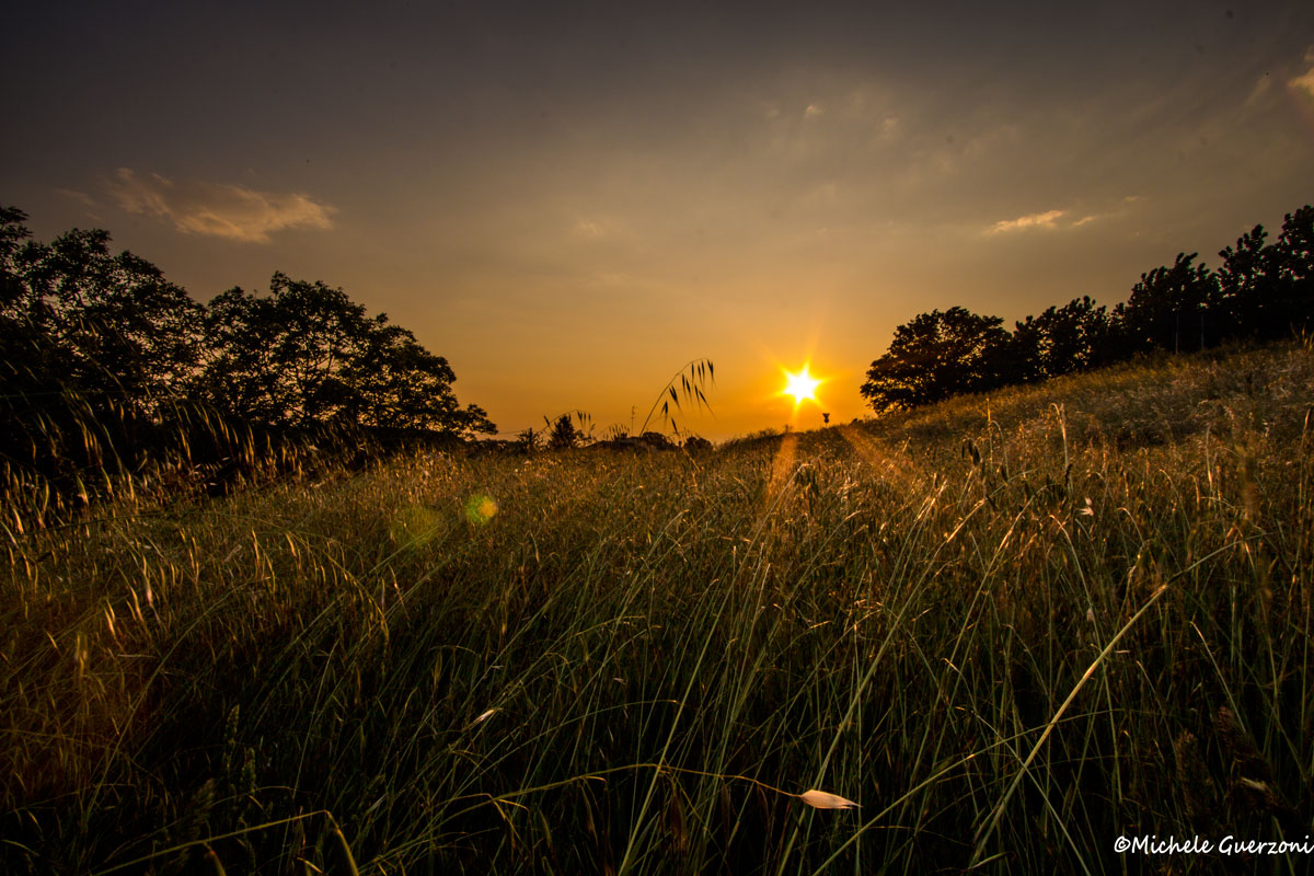 Tramonto sull'argine del PO