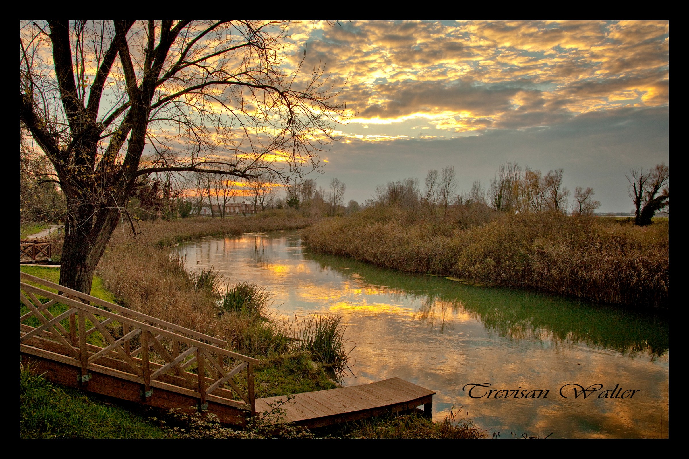 Between water and land