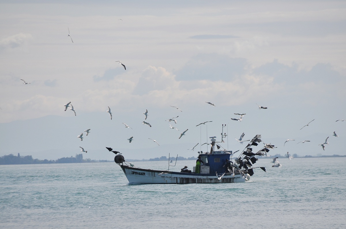 Rientro del peschereccio