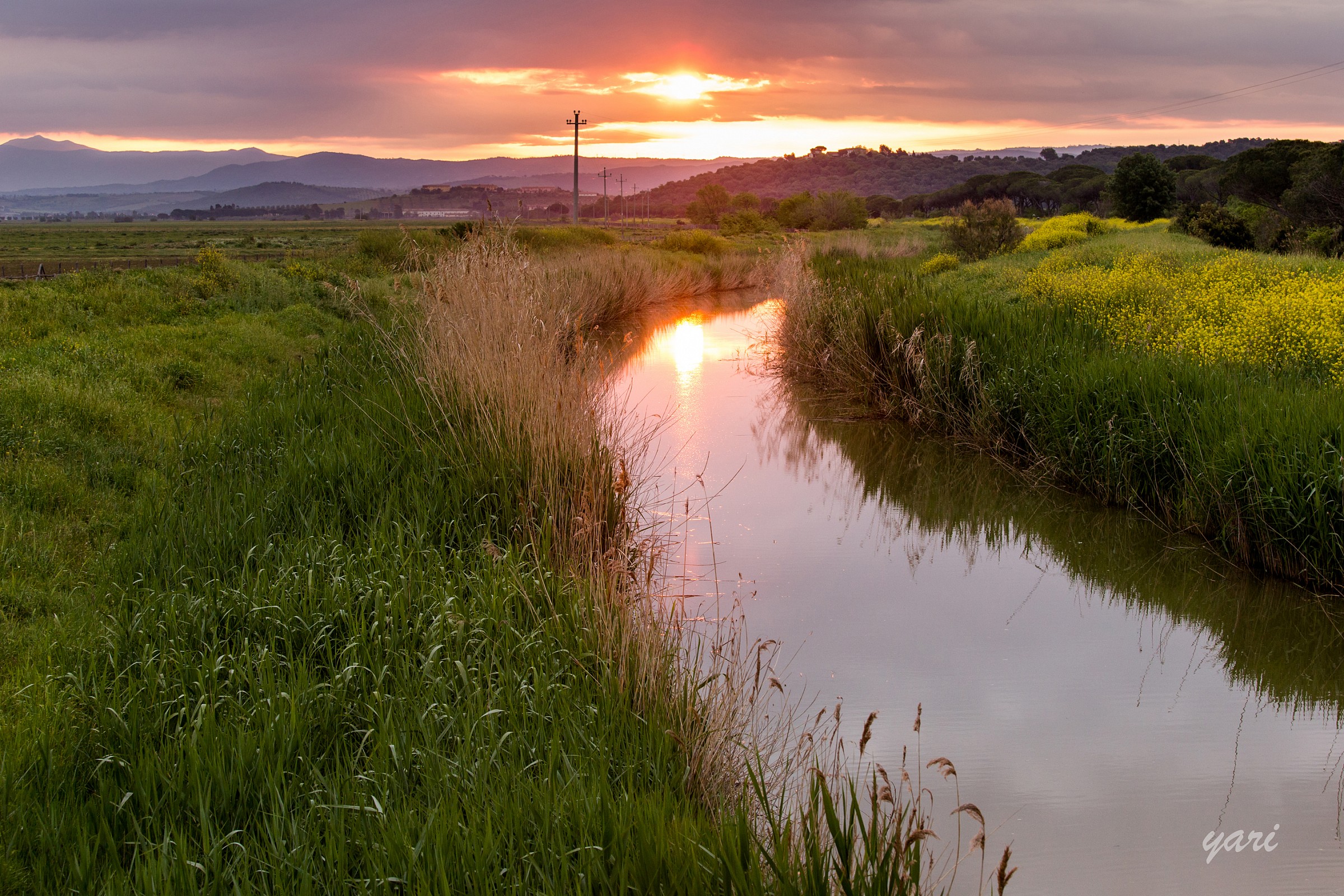 Titolo: maledetti tralicci
