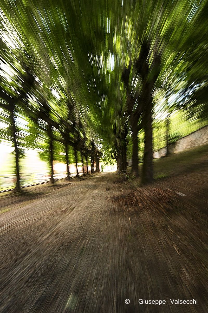 Il viale in........ movimento !!