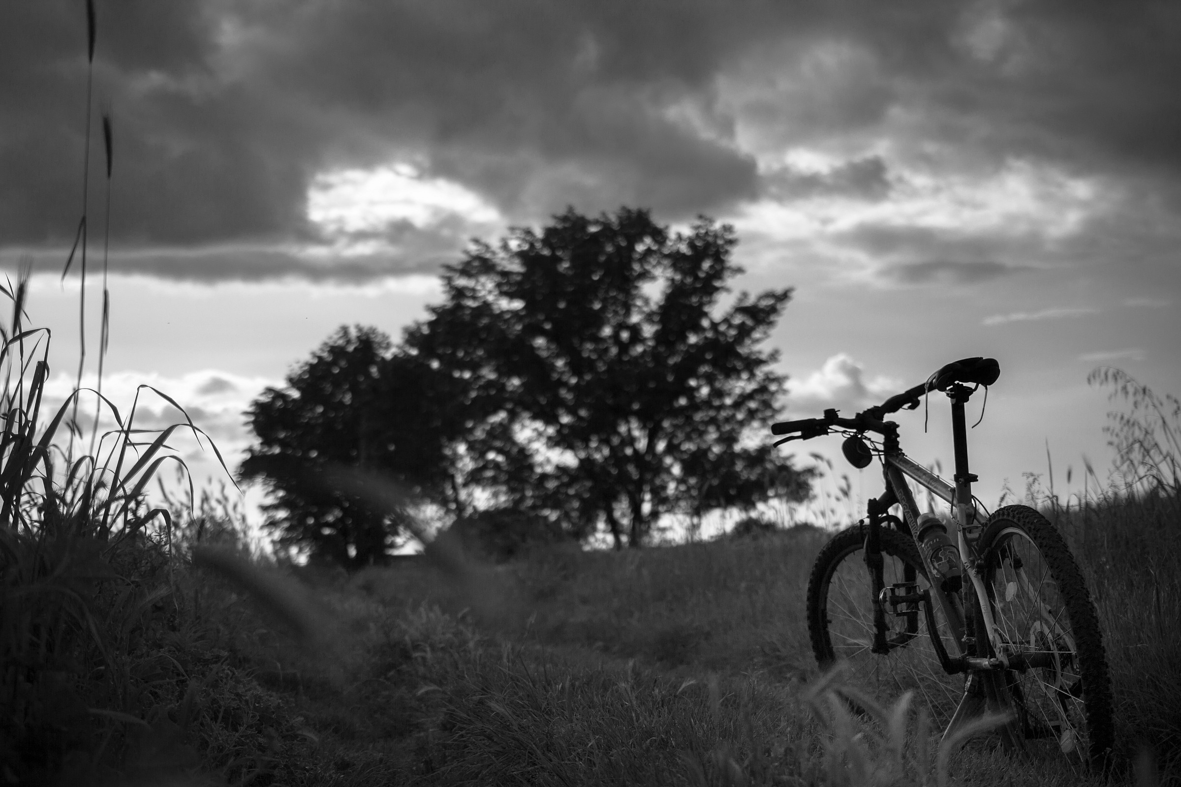 Natura vs Mountainbike