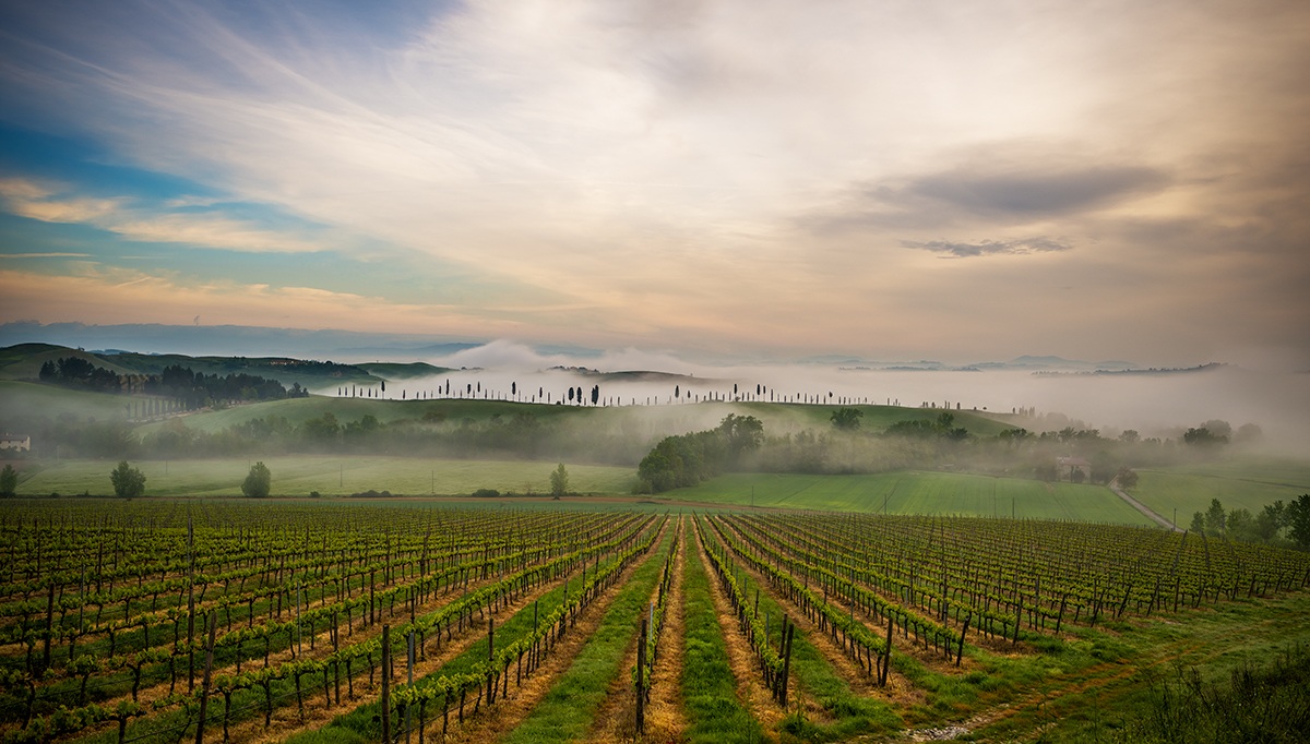 Photo fog without crop