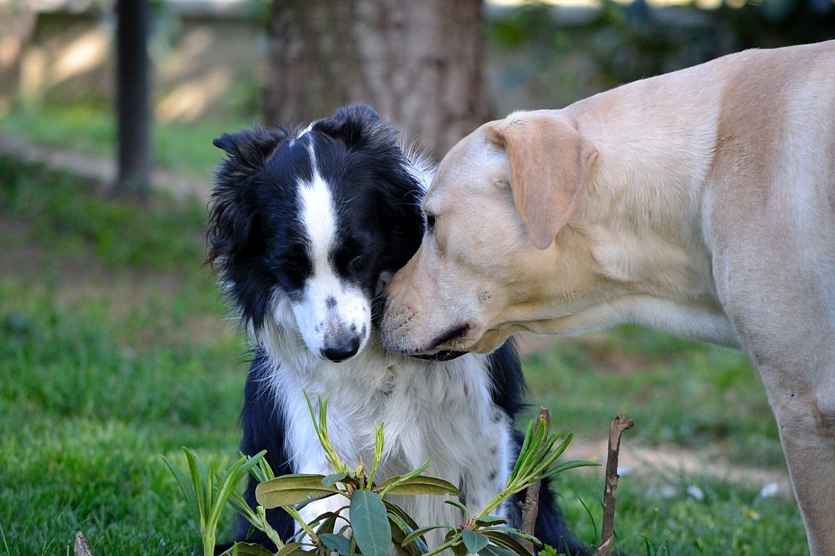 Rari momenti di dolcezza :)