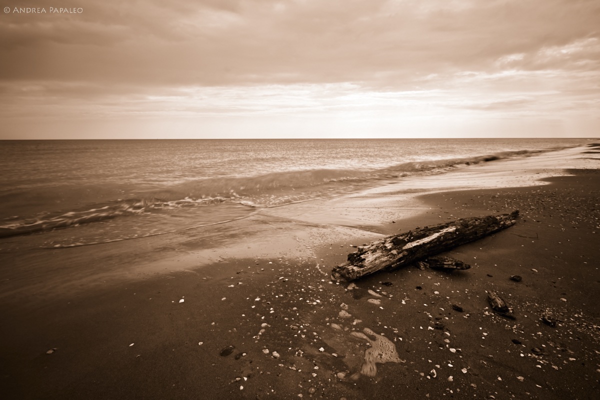 Abandonment distorted