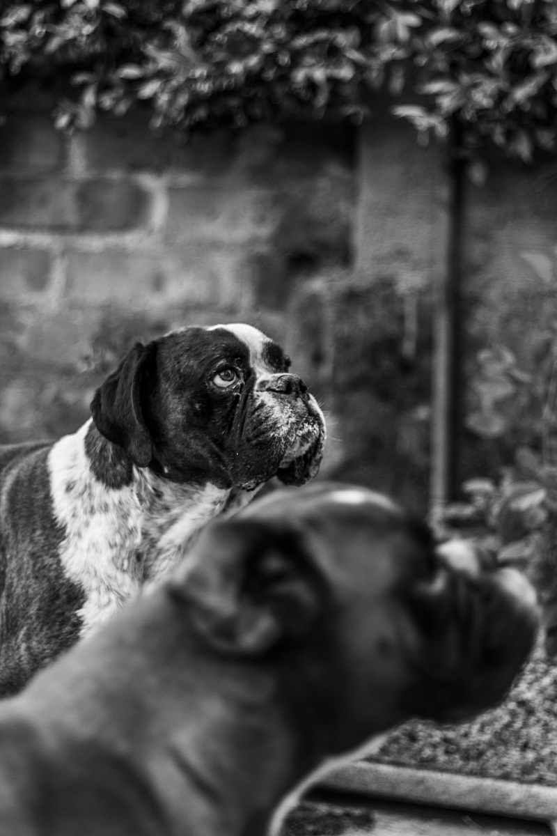 Dai tirami 'sta palla!!!