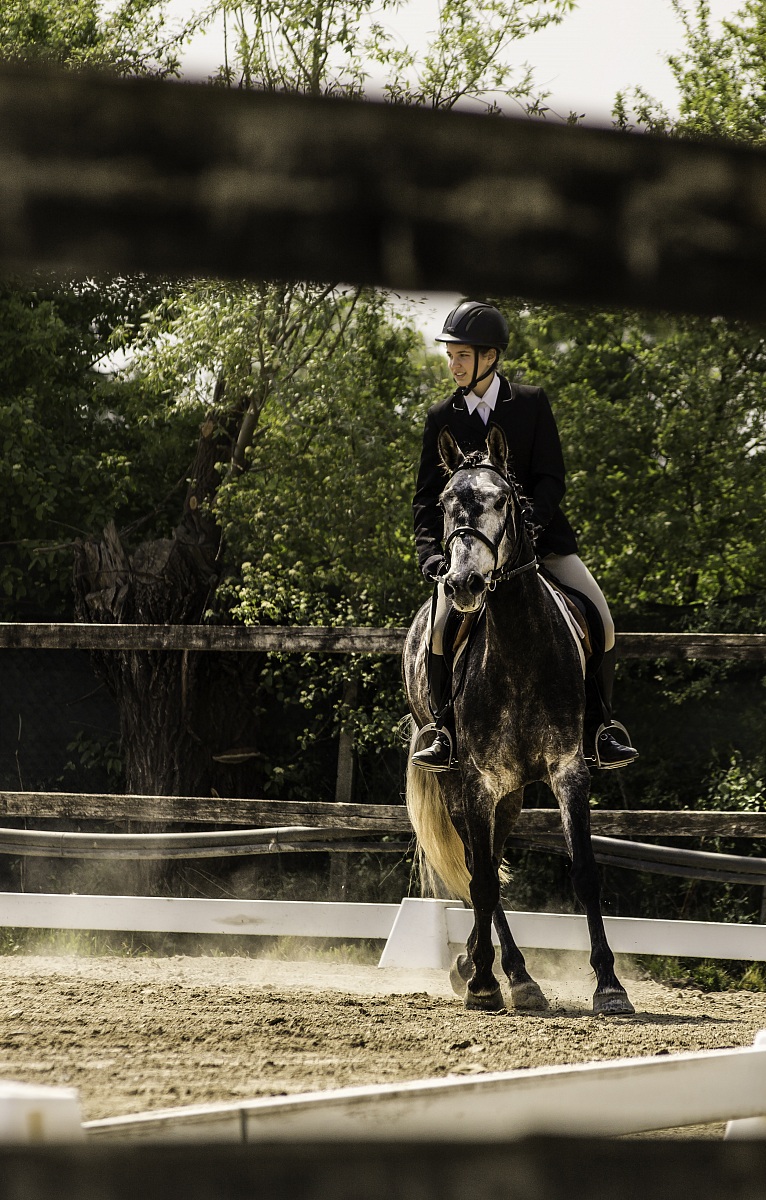 Esperimenti di equitazione