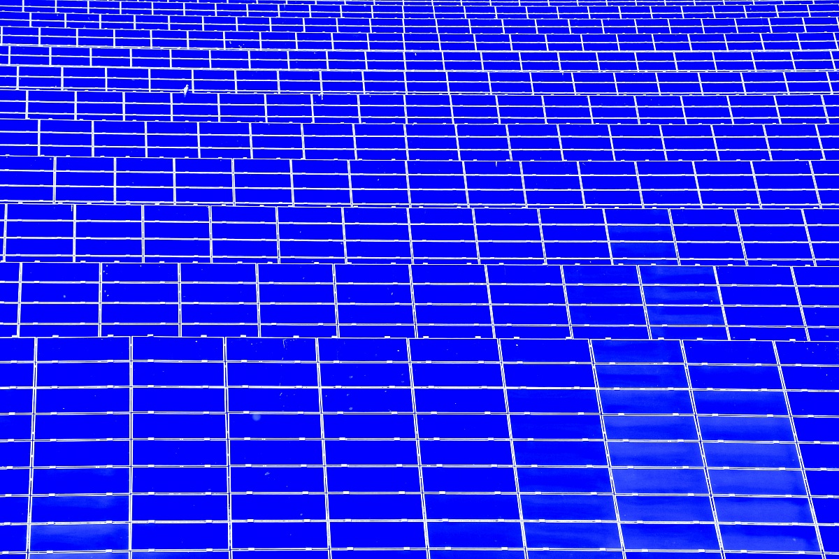 Scusate, io volevo riprendere solamente il volatile