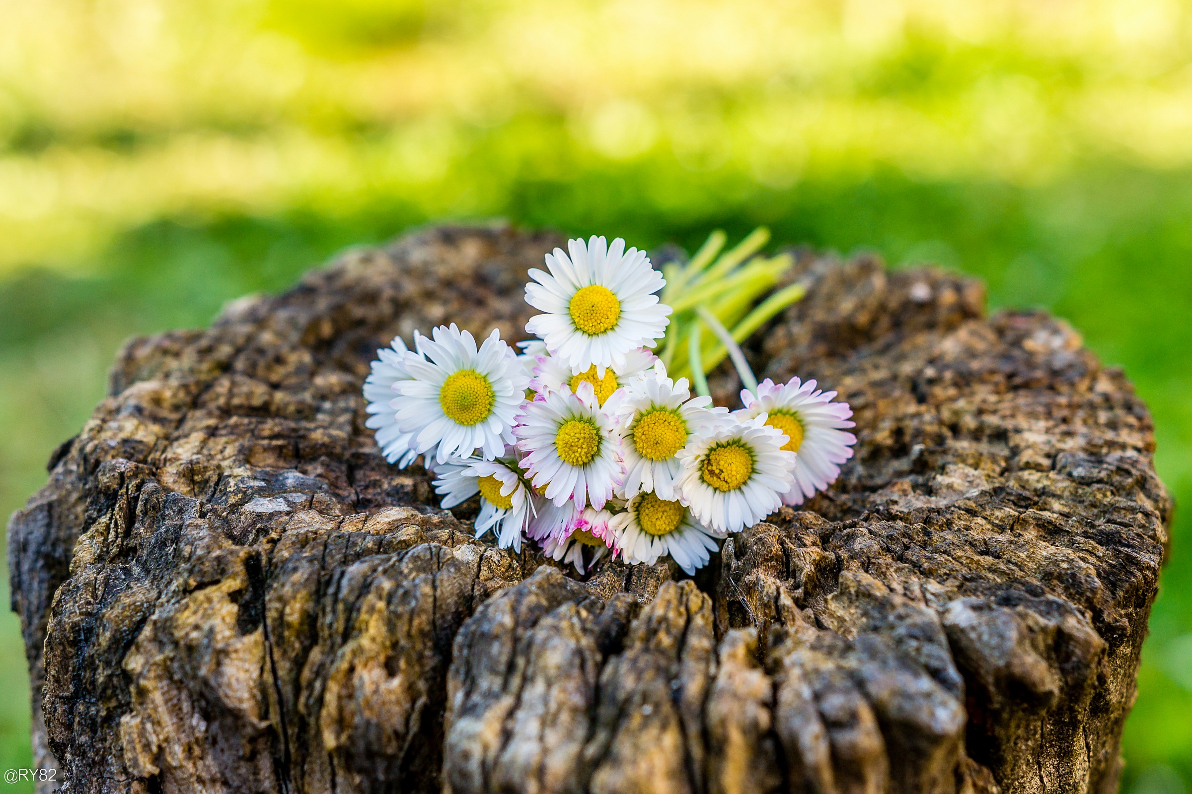 Ricordo di una Pasquetta