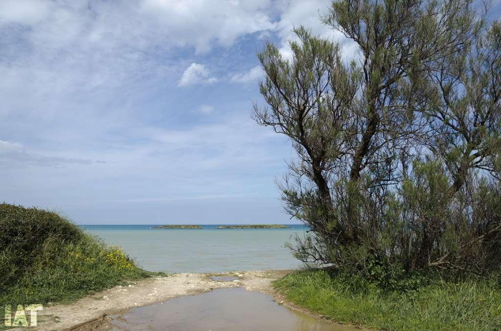 The sea of ??April V