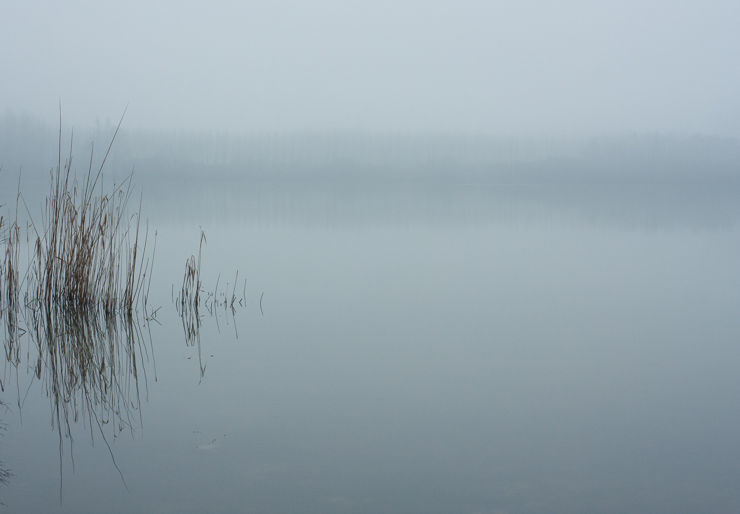 Where's the lake ends?