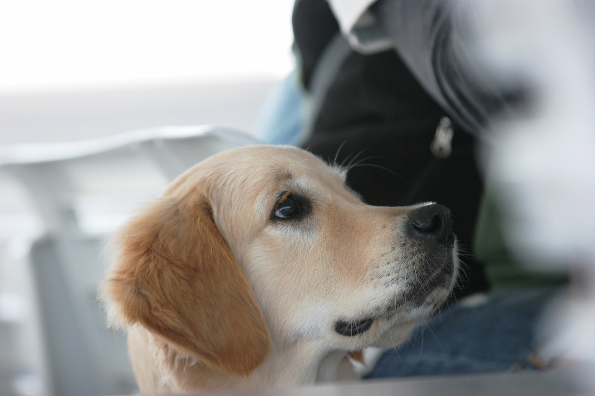 Ma quanto è dolce..